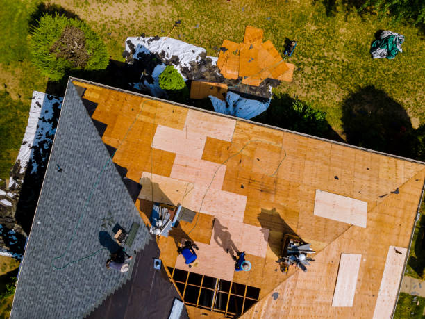 Best Roof Gutter Cleaning  in Fkville, AL