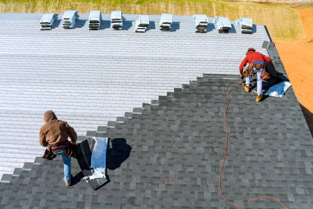 Best Storm Damage Roof Repair  in Fkville, AL