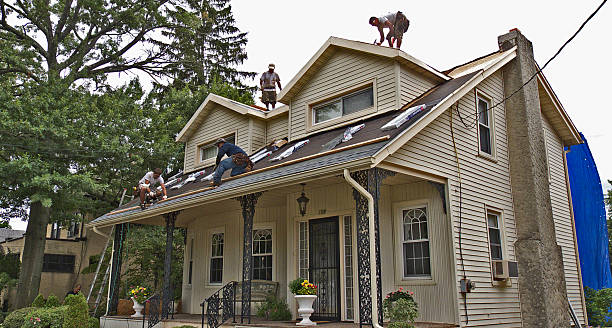 Best Local Roofing Companies  in Fkville, AL